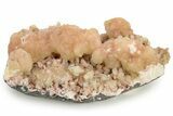 Pink-Peach Stilbite and Calcite Crystal Association - India #176837-1